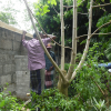 Gramashakthi projects
